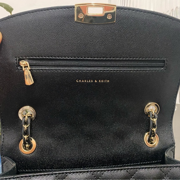 Charles & Keith Quilted Chain Bag - Picture 6 of 8